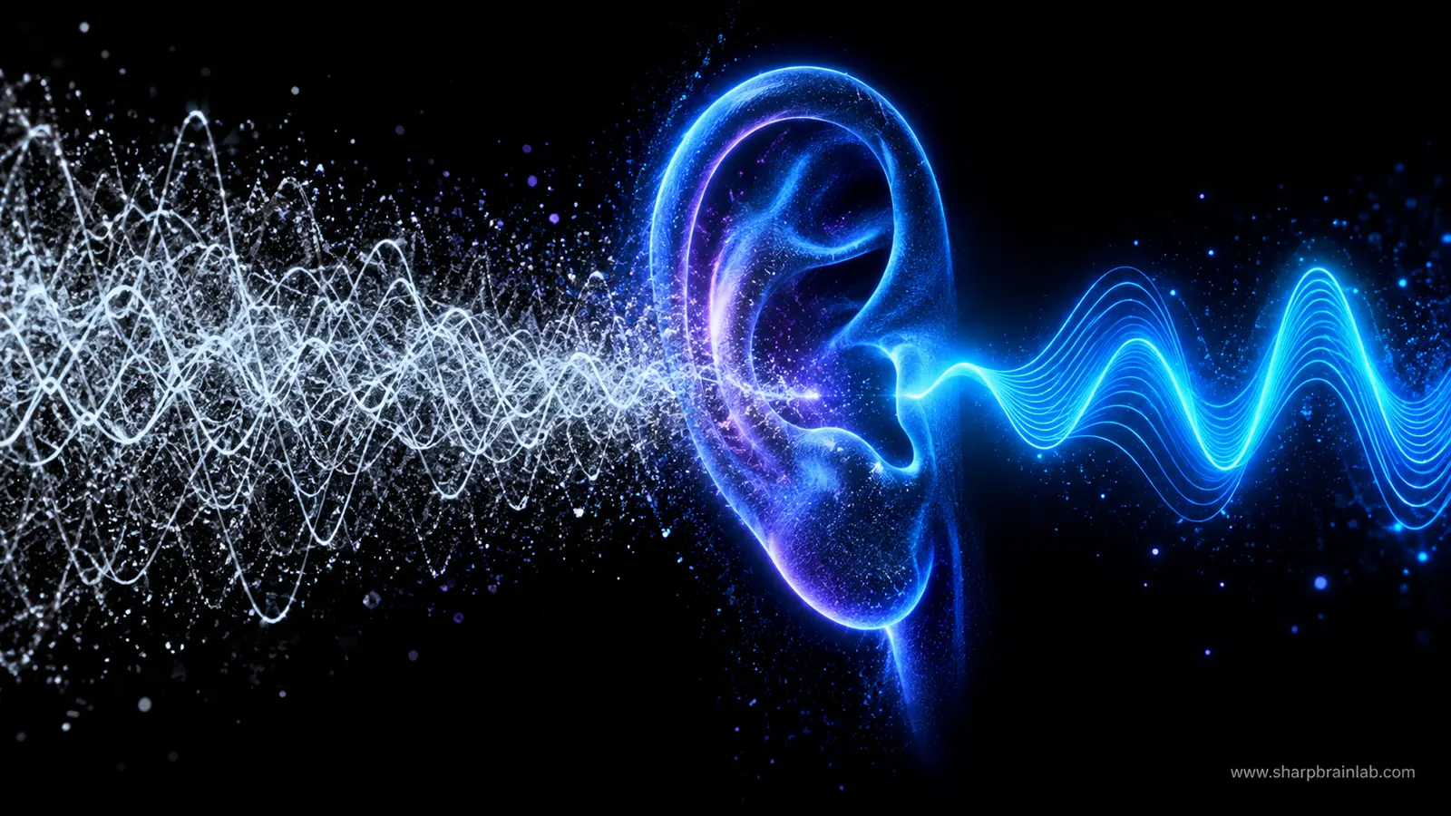 White Noise for Tinnitus: Does Sound Masking Actually Work?
